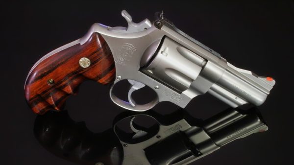 Smith & Wesson Model 29 Gun