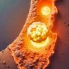 Israel Nuclear Attack