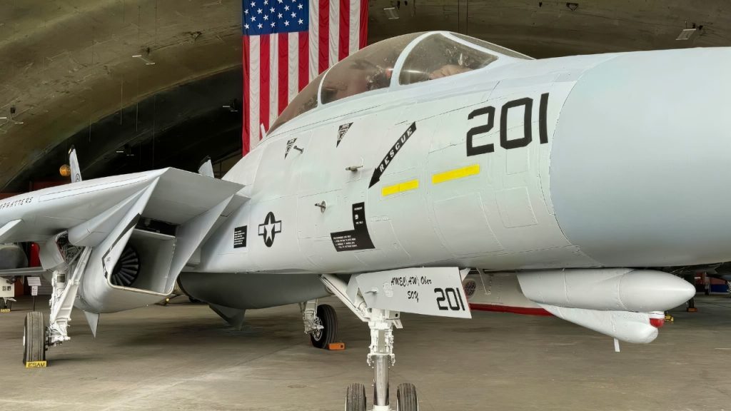 The F-14 Super Tomcat 21 Fighter Had Just One Mission