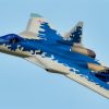 Su-57 Felon Artist Image