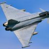 A German Air Force pilot, assigned to the German Air Force Weapons School, conducts strafing runs with an Eurofighter Typhoon in conjunction with U.S. Air Force Joint Terminal Attack Controller assigned to 2d Air Support Operations Squadron identifying targets on the ground at the 7th Army Training Command’s Grafenwoehr Training Area, Germany, June 9, 2021. (U.S. Army photo by Gertrud Zach)