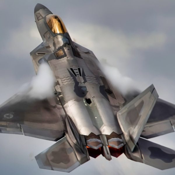 F-22 Raptor