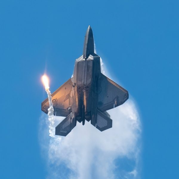 An F-22 Raptor assigned to the 1st Fighter Wing F-22 Demo Team, performs an aerial routine during the Wings Over Wayne Air Show at Seymour Johnson Air Force Base, North Carolina, May 20, 2023. Wings Over Wayne provides an opportunity for North Carolina residents and visitors from around the world to see how SJAFB builds to the future of airpower and displays a history of aircraft innovation and capabilities. (U.S. Air Force photo by Senior Airman Kevin Holloway)