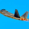 F-22 Raptor Stealth Fighter Flying