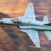 F-5E Tiger Fighter Swiss Air Force