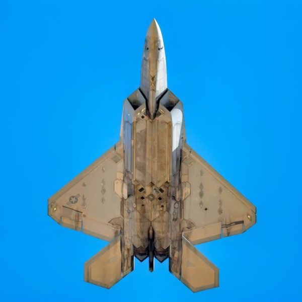 F-22 Raptor High in the Sky