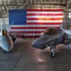 F-22 and F-35 and the Flag
