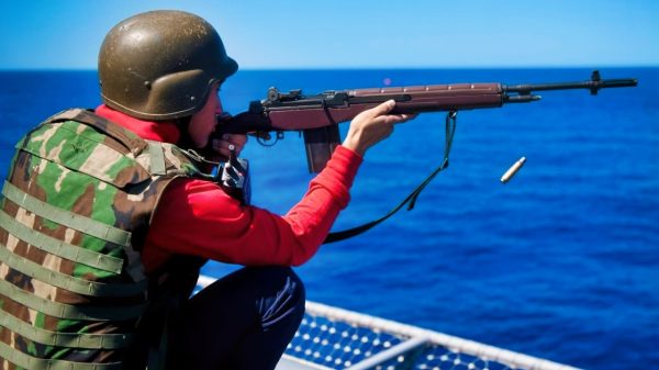 M14 Rifle U.S. Military Creative Commons Image