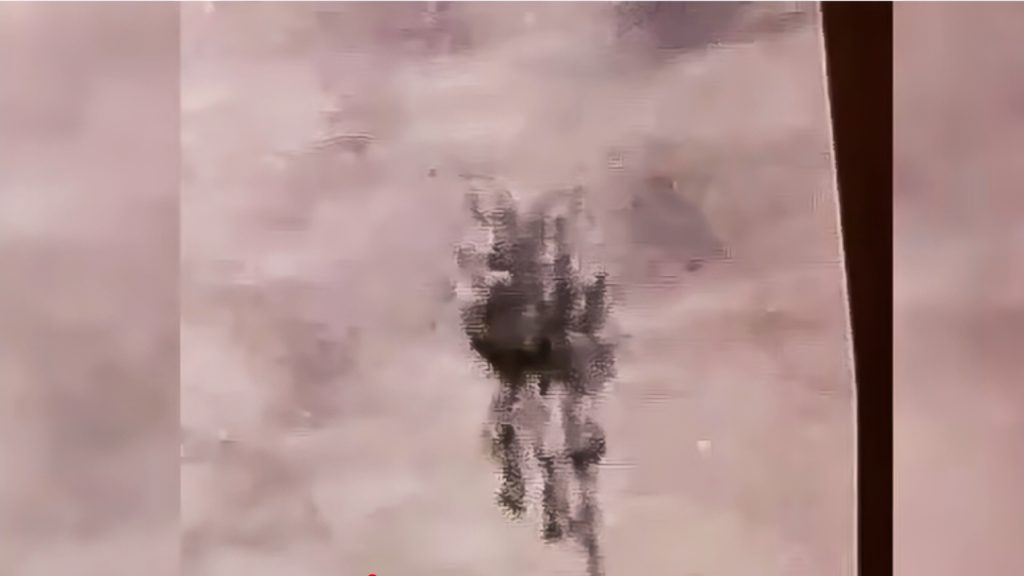 A U.S. Military Pilot Filmed A Jellyfish-Shaped UFO over Iraq in 2018 — The Pentagon Has Never Explained It