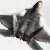 U.S. Air Force Capt. Nick “Laz” Le Tourneau, pilot and commander of the F-22 Raptor Aerial Demonstration Team, performs an aerial demonstration during the Spirit of St. Louis Air Show and STEM Expo in Chesterfield, Missouri, June 7, 2026. Aerial demonstrations are conducted to showcase the capabilities of the F-22 and provide the public an opportunity to observe Air Force operations, gaining a better understanding of its mission. (U.S. Air Force photo by Staff Sgt. Mary Bowers)