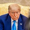 President Donald Trump meets with President of South Africa Cyril Ramaphosa, Wednesday, May 21, 2025, in the Oval Office. (Official White House Photo by Daniel Torok)