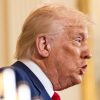 Donald Trump Creative Commons Photograph