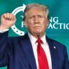 Trump at Turning Point Creative Commons Image