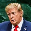 President Donald J. Trump delivers remarks to the 81st session of the United Nations General Assembly, Tuesday, September 22, 2026, at U.N. Headquarters in New York City. (Official White House Photo by Daniel Torok)